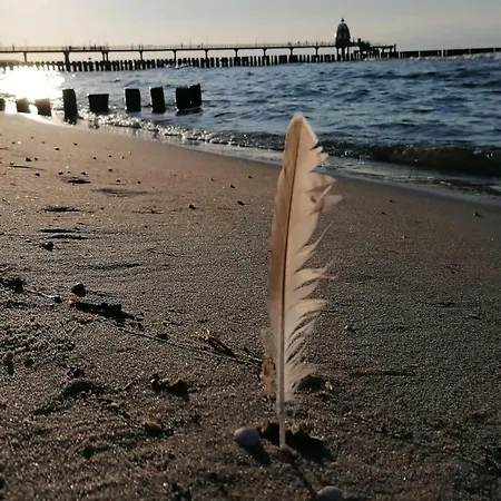 Lejlighed Seestern - Charmante 2-zimmer-wohnung Mit Balkon Zingst