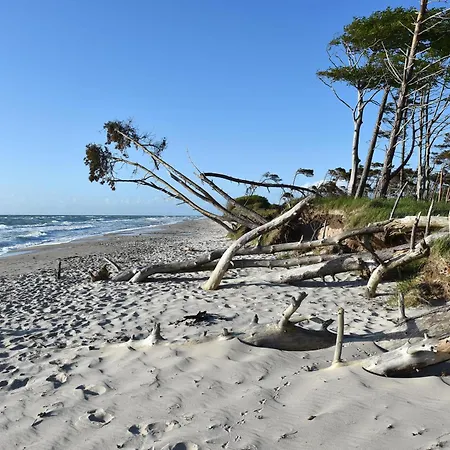 Appartement Seestern - Charmante 2-zimmer-wohnung Mit Balkon Zingst