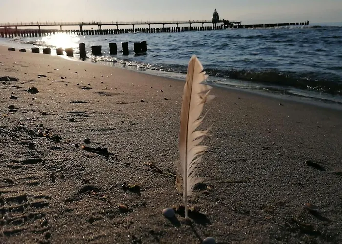 Διαμέρισμα Seestern - Charmante 2-zimmer-wohnung Mit Balkon Zingst