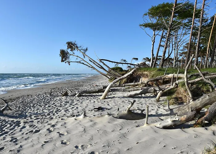 Διαμέρισμα Seestern - Charmante 2-zimmer-wohnung Mit Balkon Zingst
